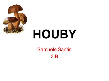 HOUBY Samuele Santin 3.B.