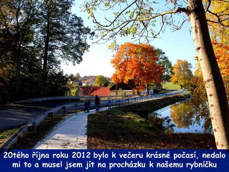 20tého října roku 2012 bylo k večeru krásné počasí, nedalo mi to a musel jsem jít na procházku k našemu rybníčku.