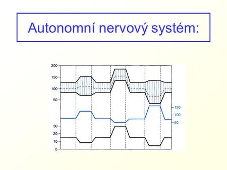 Autonomní nervový systém:
