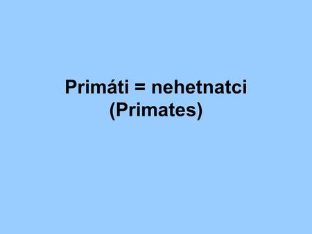 Primáti = nehetnatci (Primates)