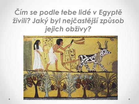 Čím se podle tebe lidé v Egyptě živili