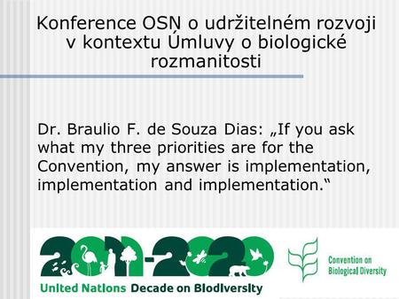 Dr. Braulio F. de Souza Dias: „If you ask what my three priorities are for the Convention, my answer is implementation, implementation and implementation.“