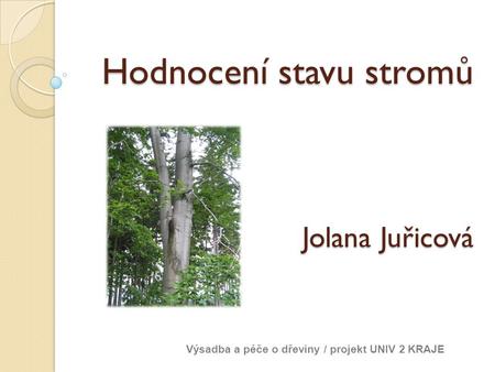 Hodnocení stavu stromů Jolana Juřicová