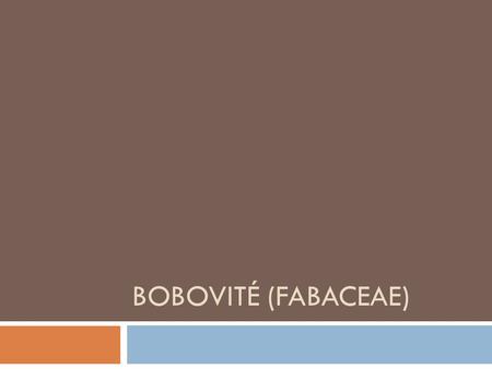Bobovité (fabaceae).