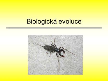 Biologická evoluce.