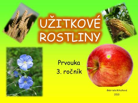 UŽITKOVÉ ROSTLINY Prvouka 3. ročník Gabriela Mikulková 2013.