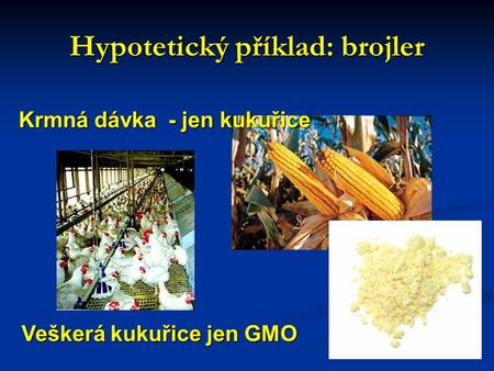 Krmná dávka - jen kukuřice Veškerá kukuřice jen GMO Hypotetický příklad: brojler.