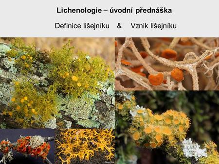 Lichenologie – úvodní přednáška
