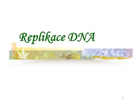 Replikace DNA Tato prezentace se zabývá procesem Replikace DNA.