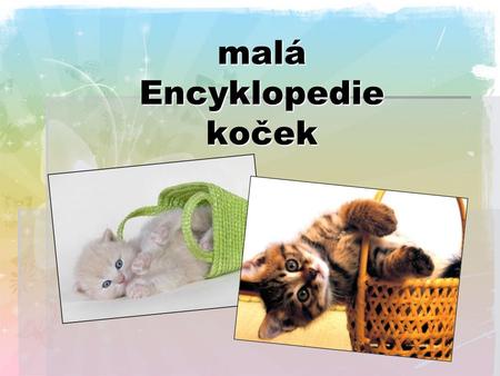 malá Encyklopedie koček