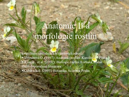 Anatomie II a morfologie rostlin