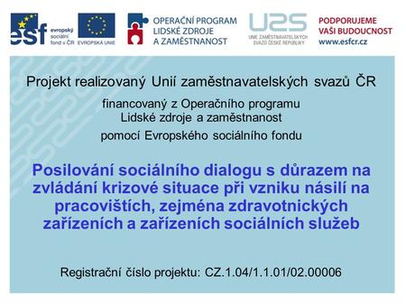 Registrační číslo projektu: CZ.1.04/1.1.01/02.00006 Projekt realizovaný Unií zaměstnavatelských svazů ČR financovaný z Operačního programu Lidské zdroje.