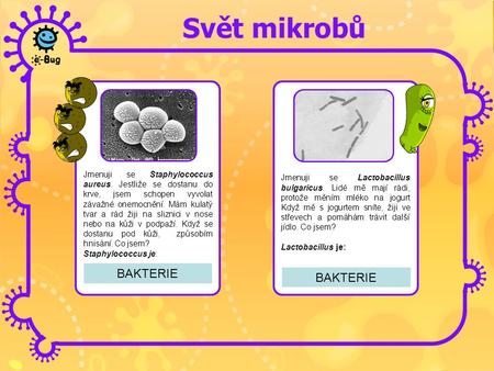 Svět mikrobů BAKTERIE BAKTERIE