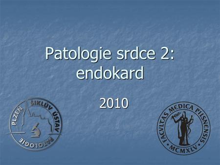 Patologie srdce 2: endokard
