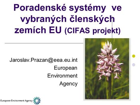 Poradenské systémy ve vybraných členských zemích EU (CIFAS projekt) European Environment Agency.