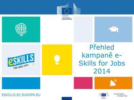 ESKILLS.EC.EUROPA.EU Přehled kampaně e- Skills for Jobs 2014.