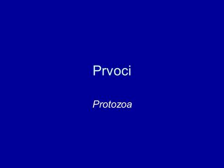 Prvoci Protozoa.