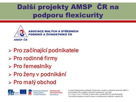 Další projekty AMSP ČR na podporu flexicurity