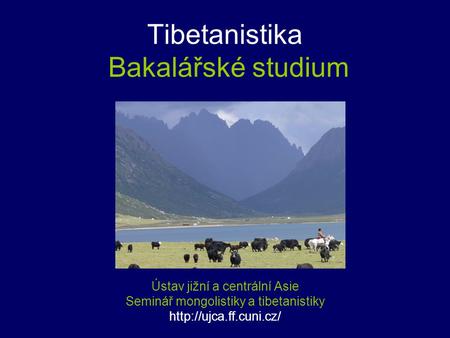 Tibetanistika Bakalářské studium