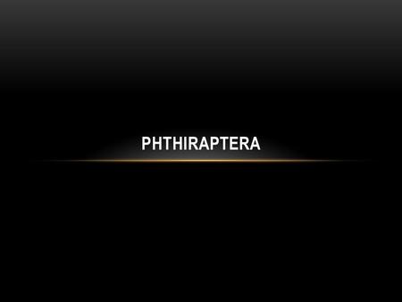 Phthiraptera.
