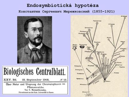 Endosymbiotická hypotéza