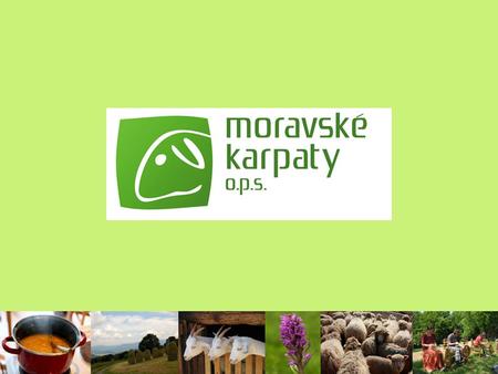 Projekt UNDP-GEF Název: Zachování biologické rozmanitosti trvalých travních porostů v pohoří Karpat v České republice prostřednictvím cíleného využití.