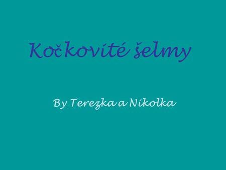 Kočkovité šelmy By Terezka a Nikolka.