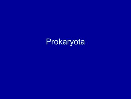 Prokaryota.