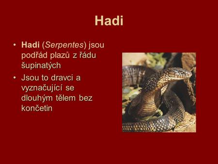 Hadi Hadi (Serpentes) jsou podřád plazů z řádu šupinatých