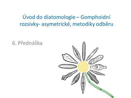 Úvod do diatomologie – Gomphoidní rozsivky- asymetrické, metodiky odběru 6. Přednáška.