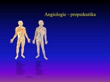 Angiologie - propedeutika