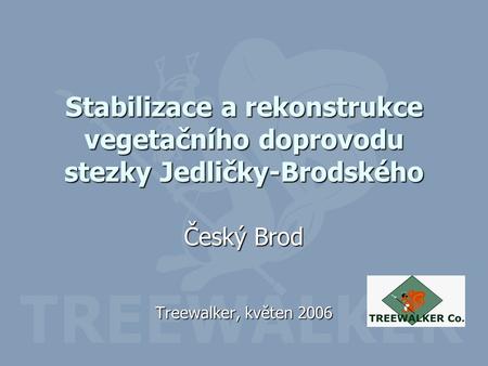Stabilizace a rekonstrukce vegetačního doprovodu stezky Jedličky-Brodského Český Brod Treewalker, květen 2006.