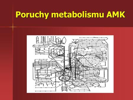 Poruchy metabolismu AMK