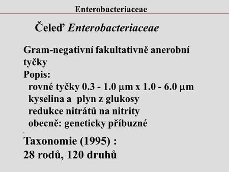 Čeleď Enterobacteriaceae
