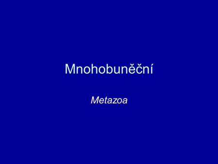Mnohobuněční Metazoa.