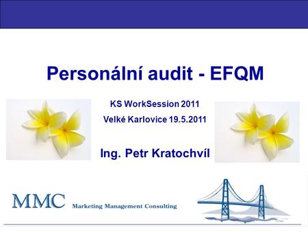 Personální audit - EFQM KS WorkSession 2011 Velké Karlovice 19.5.2011 Ing. Petr Kratochvíl.