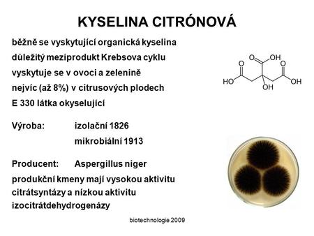 KYSELINA CITRÓNOVÁ běžně se vyskytující organická kyselina