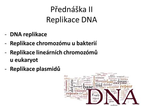 Přednáška II Replikace DNA