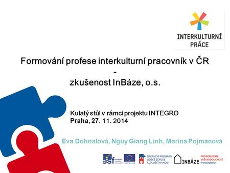 Formování profese interkulturní pracovník v ČR