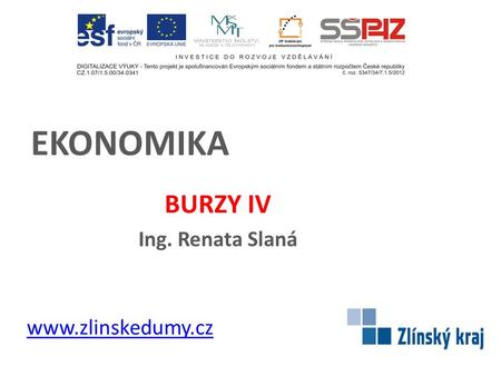 EKONOMIKA BURZY IV Ing. Renata Slaná www.zlinskedumy.cz.