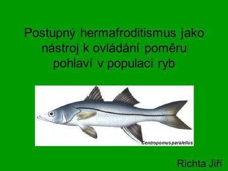 Postupný hermafroditismus jako nástroj k ovládání poměru pohlaví v populaci ryb Centropomus paralellus Richta Jiří.