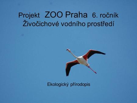 Projekt ZOO Praha 6. ročník Živočichové vodního prostředí