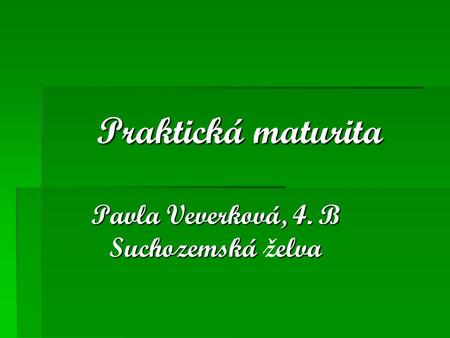 Pavla Veverková, 4. B Suchozemská želva