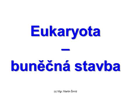 Eukaryota – buněčná stavba