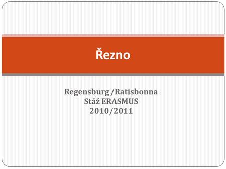 Regensburg /Ratisbonna Stáž ERASMUS 2010/2011