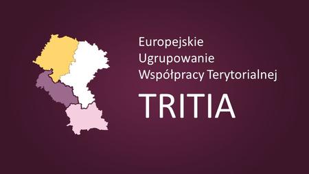 Europejskie Ugrupowanie Współpracy Terytorialnej TRITIA.