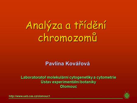 Analýza a třídění chromozomů Pavlína Kovářová