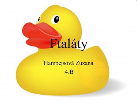 Ftaláty Hampejsová Zuzana 4.B.
