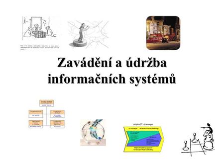 Zavádění a údržba informačních systémů