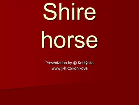 Shire horse Presentation by © Kristýnka www.j-h.cz/konikove.